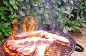 Il gatto e la volpe 1 - Foto 43