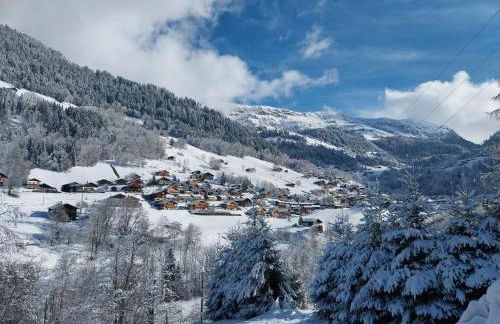 Arêches, 4 pers, télésiège à 5 mn à pied, grande terrasse en RDJ - Foto 18