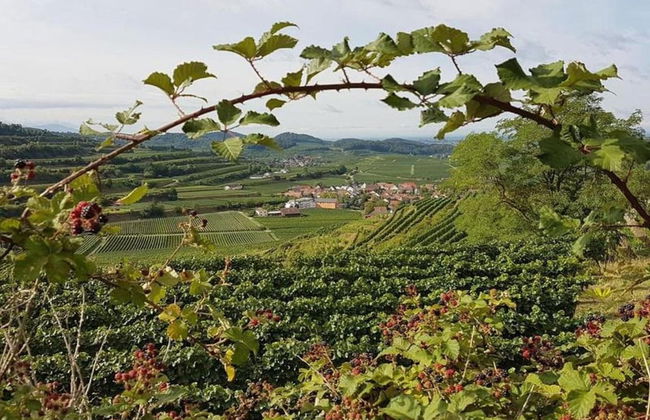 Ferienwohnung in Bischoffingen - Foto 33