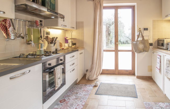 Olive Grove Sabina - Foto 14