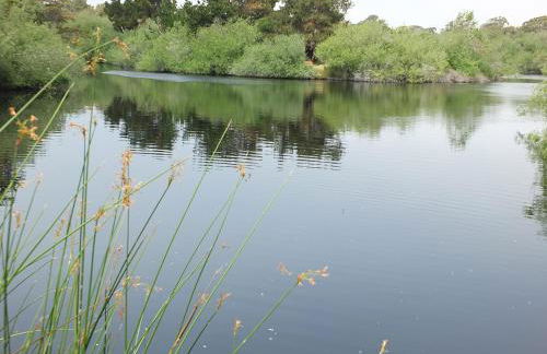 618 Airpark - Foto 12