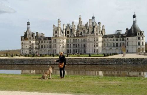Traditional Countryside House Chateaux de la Loire - Foto 54