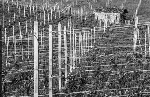 I Tre Poggi Dimora di Charme - Foto 55