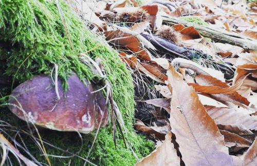 Casa Teresina - Foto 44