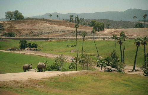 San Diego Stay, Pool, Gym, Near Zoo, Petco Park & SeaWorld - Photo 31