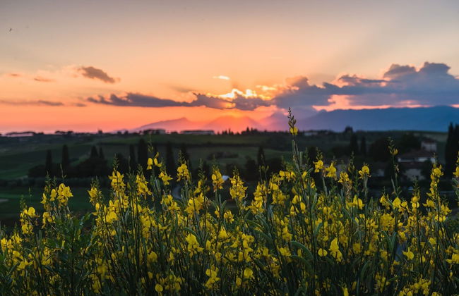 Belvilla by OYO Leonardo - Foto 37