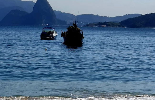 Andorinhas - Foto 80