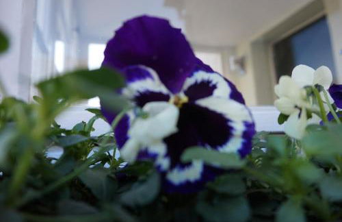 FeWo EG am Fluss mit Terrasse - eine grüne Oase - Foto 45