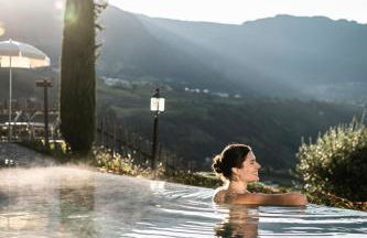 Huber unterm Baum - Foto 3