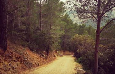 L'Antic Forn de Paüls - Foto 55