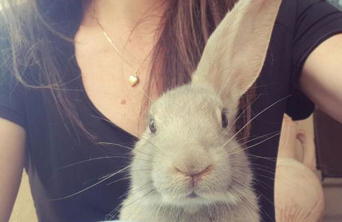 Agriturismo Abbazia Sette Frati a casa di Sara - Foto 35