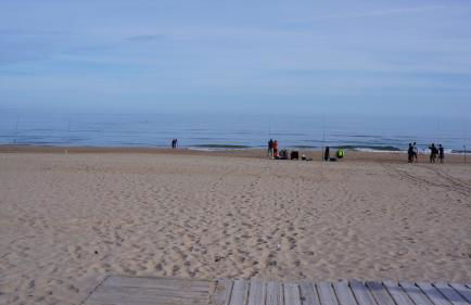 APARTAMENTO ARTIAMIS de PLAYA DE DAIMUZ - Foto 1