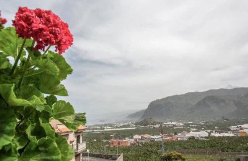 Luz del Norte - Foto 25