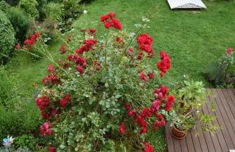 Ferienwohnung am Wasserschloss - Foto 3