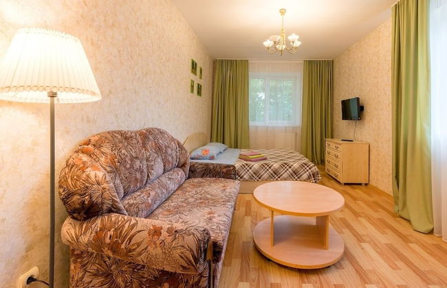 Apartment near Ekaterinensky 2 - Photo 5