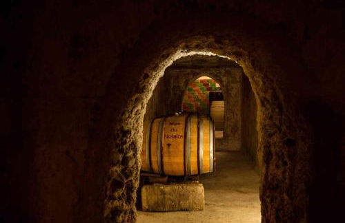 Mas du Notaire - Photo 50