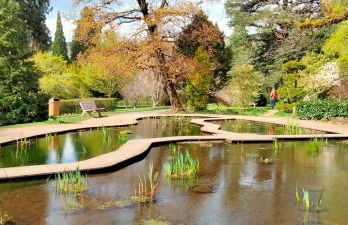 Côté Jardin la belle époque - Foto 21