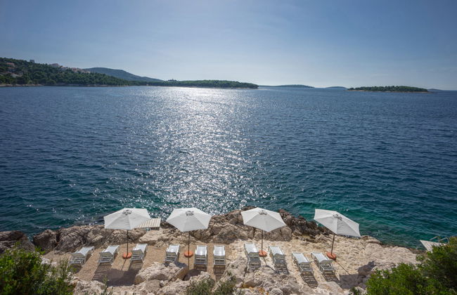 Golden Ray - Foto 14