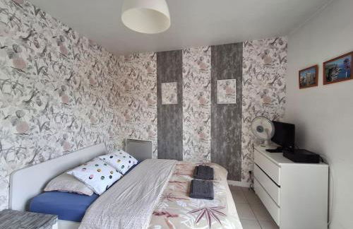 Metz Port Saint Marcel - Foto 20