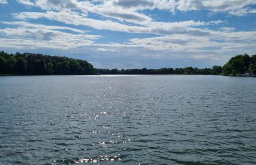 Floss Priepert 1 - Photo 28