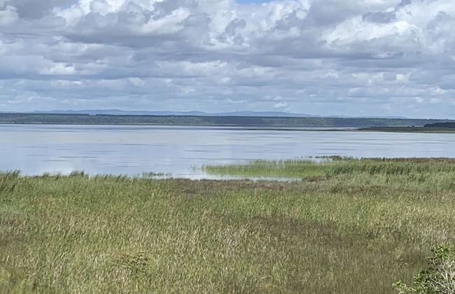 St Lucia Palms - Foto 42