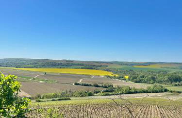 Maisons Vaudésir Chablis - Foto 29