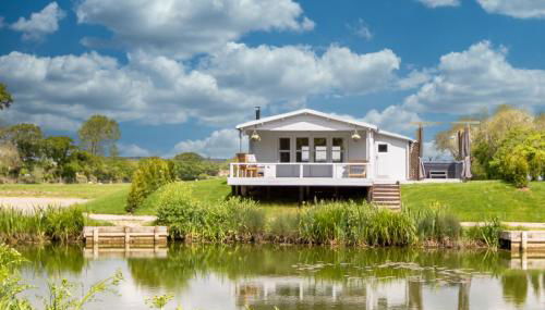 Nestledstays- Primrose - Foto 4