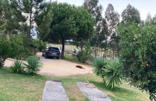 Villa Monte dos Pinheiros - Photo 25