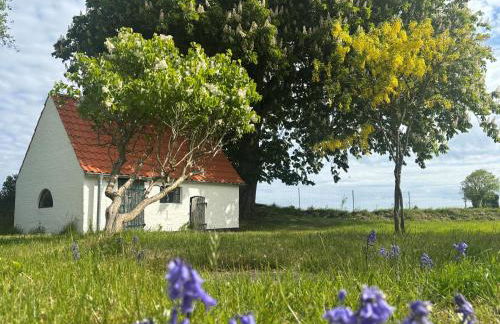 Country House Sensby - Schlei retreat with fireplace & garden - Photo 21