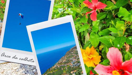 Casa da Achada in Arco da Calheta - Photo 4