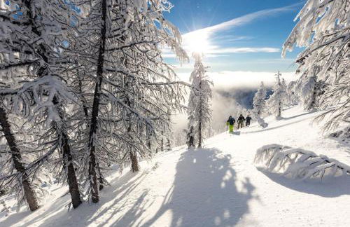 Bachmair Weissach See-Apartments - Foto 35