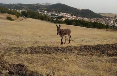 La casetta di Vany - Foto 29