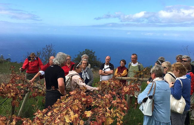 Visita a las bodegas Monje - Foto 7