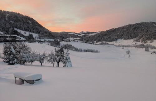 Ferienhof Rindalphorn mit Sauna in ländlicher Idylle - Foto 31