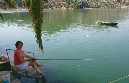 Apartments Damić - Photo 64