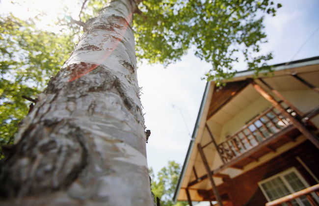 THE LODGE ABASHIRI - Foto 67