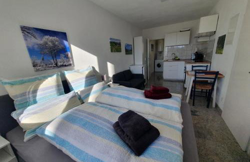 1-Zimmer-Wohnung-EG Fewo 2 Rupertsberg - Foto 13