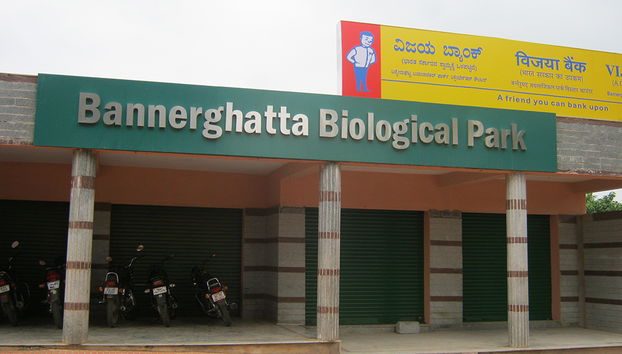 Parque Nacional Bannerghatta - Tour Privado - Foto 4