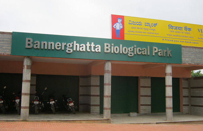 Parque Nacional Bannerghatta - Tour Privado - Foto 4