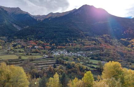 Senet Rural - Foto 29