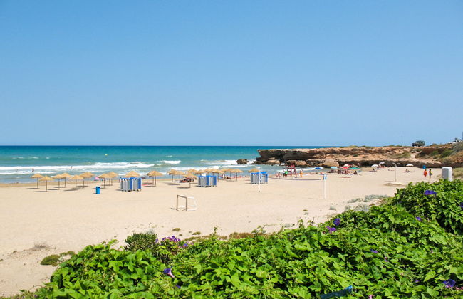 Valenciano - Foto 25