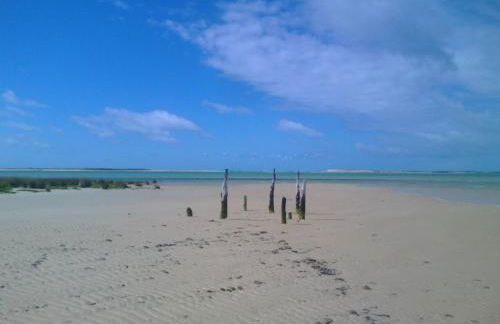 Cabanas Garden By HnM - Photo 19