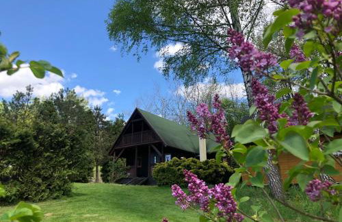 Domek Pod Lasem - Foto 1