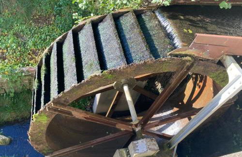 In der Wassermühle - Foto 2