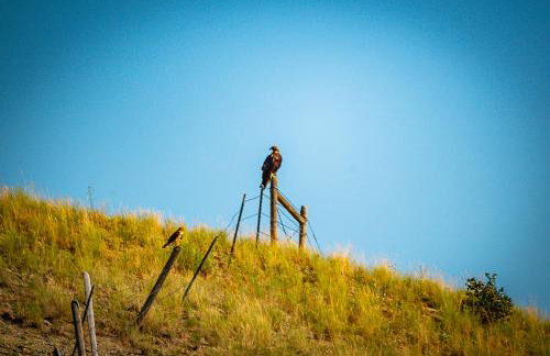 The Shepherd's Retreat - Foto 21