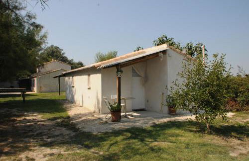 Les Mazets du Paty - Foto 14