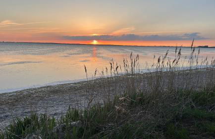 Reethaus Rosengarten Rügen gegenüber Hiddensee - Whg Strauchrose im DG - Foto 3