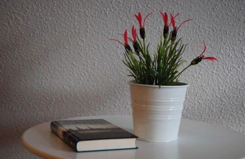 Exkl App Kliff am Meer, W-LAN, Balkon - Foto 9