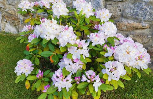 Casa Bellavista Becerril - Foto 28