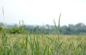 Domki na Górniej Łące - Domek Górny - Foto 59